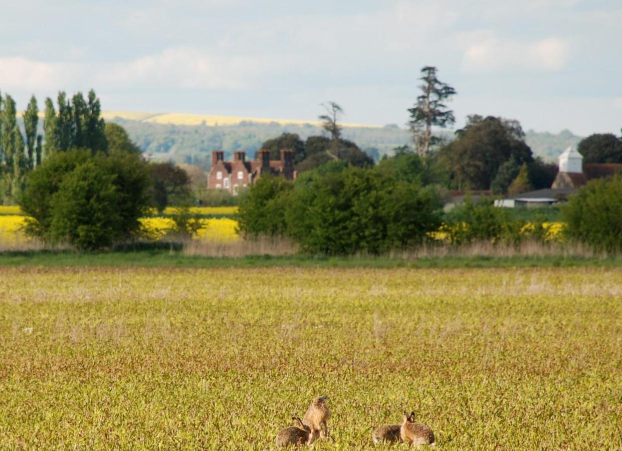 Barnham Court Farm Villa Exterior foto